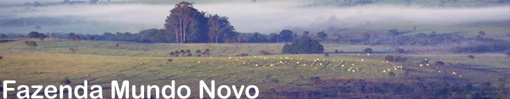 Fazenda Mundo Novo